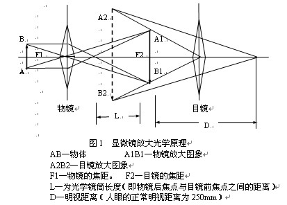 金相显微镜成像原理简介广东源兴光学仪器有限公司官网广东源兴光学仪器 